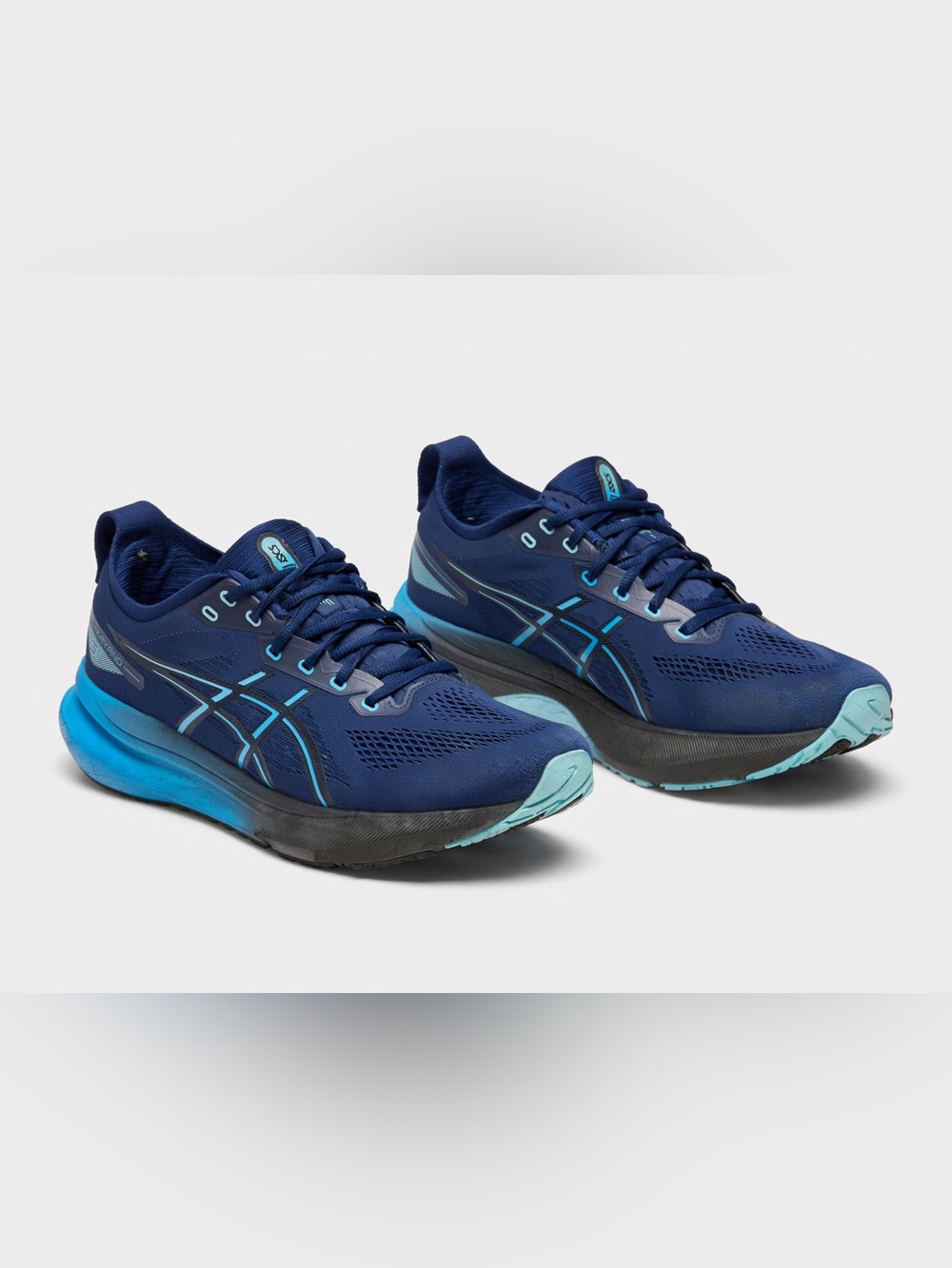 ASICS Gel Kayano 31